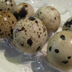 Как хранить перепелиные яйца