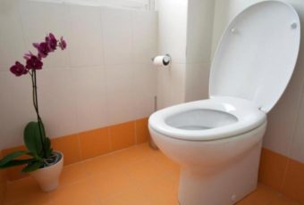 Сиденье унитаза не стоит застилать туалетной бумагой. Это опасно!