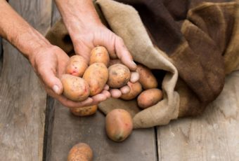 Как правильно хранить картофель в домашних условиях в квартире зимой