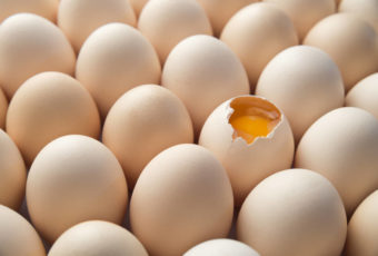 Как определить свежее яйцо или нет с помощью воды