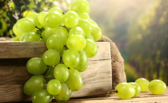 Где и как правильно хранить виноград в домашних условиях