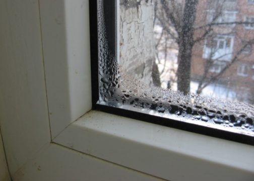 удалить плесень на окнах