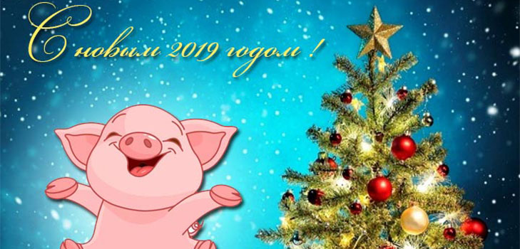 Поздравления с наступающим Новым годом 2019 Свиньи