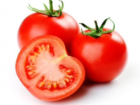 Виды выращивания томатов