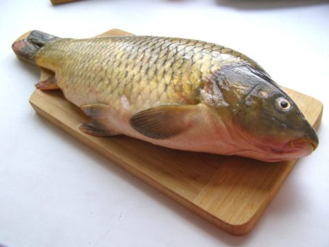 Рыба карась — польза и вред для организма