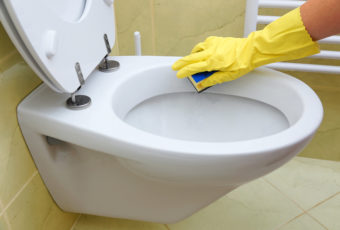 ТОП-10 лучших средств для чистки туалета