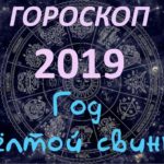 Самый точный гороскоп на 2019 год по знакам зодиака и по году рождения