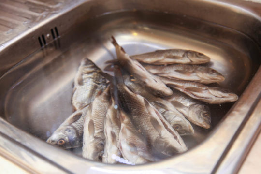 Как быстро высушить рыбу