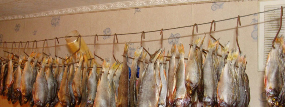 Как дома сушить и солить рыбу: эффективные варианты