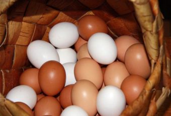 Почему одни яйца белые, а другие коричневые?