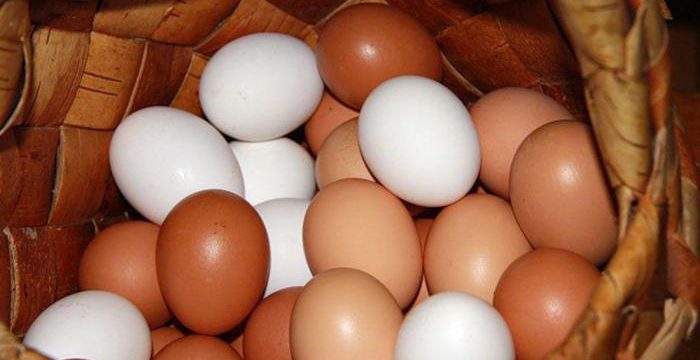 Почему одни яйца белые, а другие коричневые?