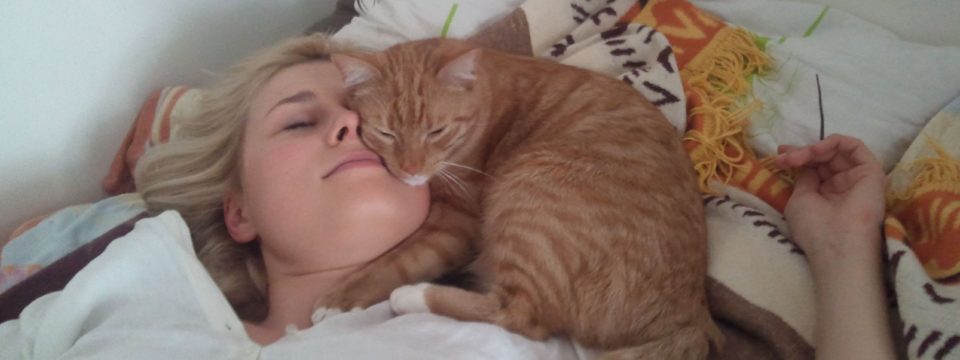 Медики объяснили, почему нельзя спать рядом или в обнимку с кошкой