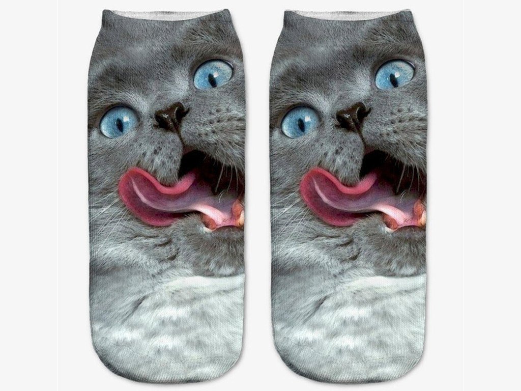 Модные носочки для кошек