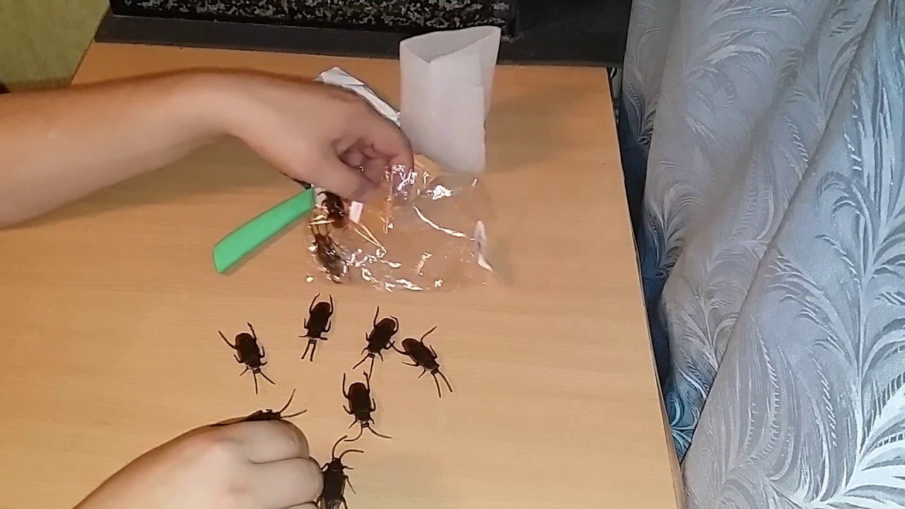 Имитация таракана
