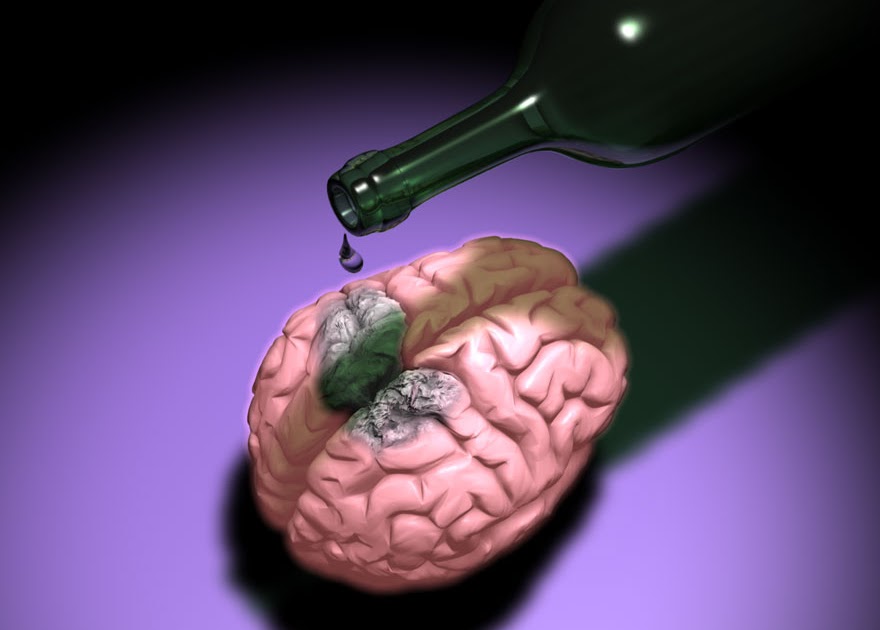 Алкоголь убивает клетки мозга