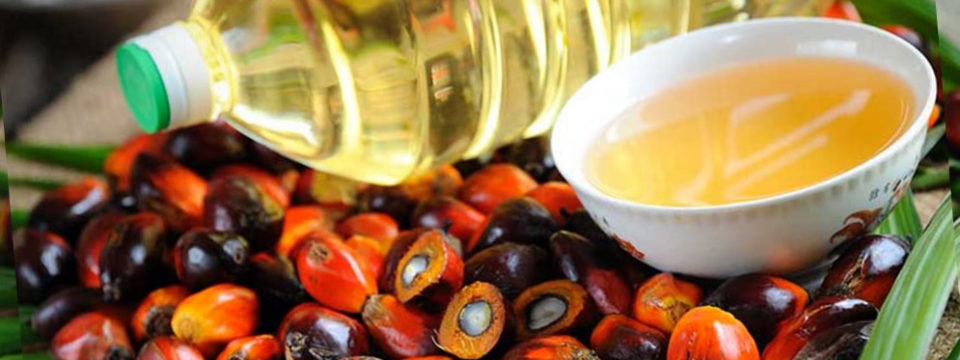 Неужели пальмовое масло вызывает рак
