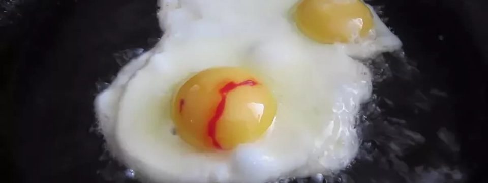 Почему бывают яйца с кровью и безопасно ли их есть