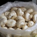 Как хранить свежие грибы в домашних условиях в холодильнике после сбора и чистки