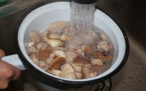 промывание грибов