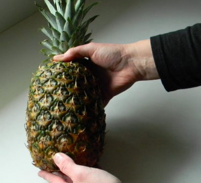 Срок хранения ананаса при комнатной температуре, в морозилке, цельный или порезанный на кусочки